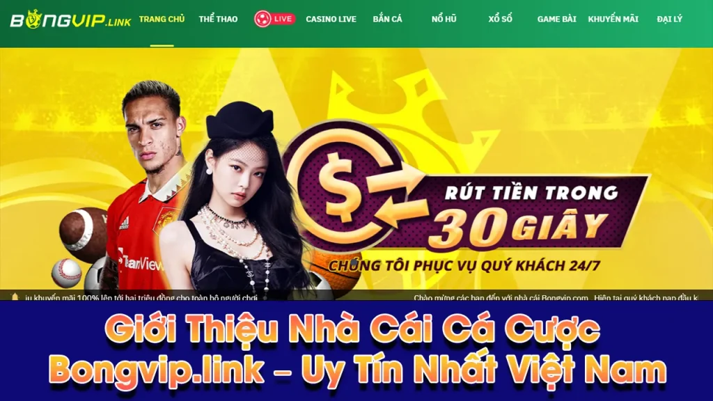 Nhà Cái Bongvip.link - nơi cá cược uy tín tại Việt Nam